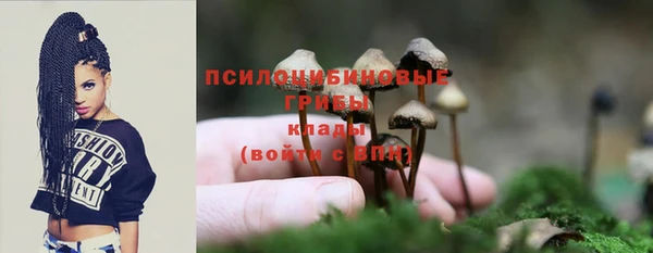 не бодяженный Галич