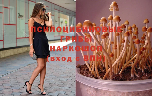 мяу мяу мука Нягань